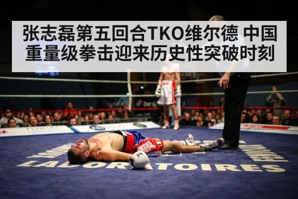 张志磊第五回合TKO维尔德 中国重量级拳击迎来历史性突破时刻